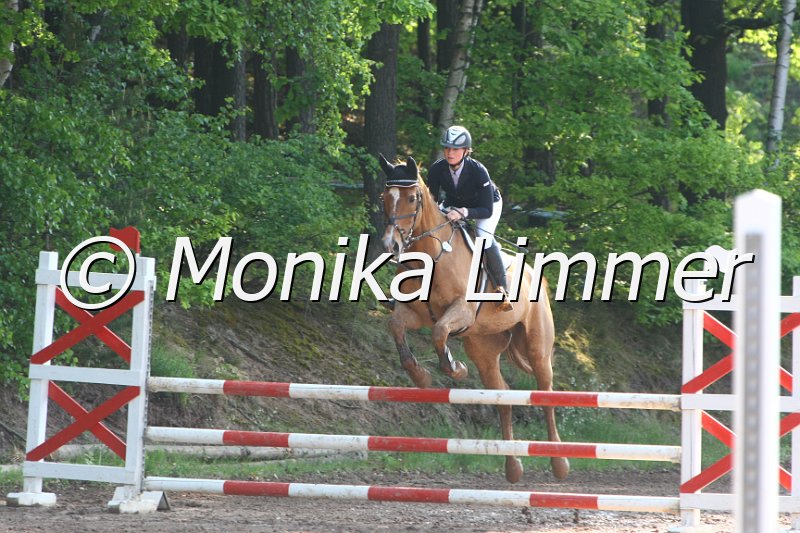 104M7558_Spring A.JPG